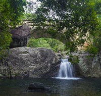Paluma and Crystal Creek Rainforest - Palm Beach Accommodation