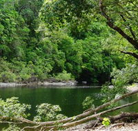 Broadwater Abergowrie State Forest - Palm Beach Accommodation