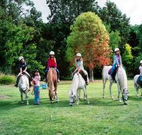 Limestone Coast Horseriding - Palm Beach Accommodation