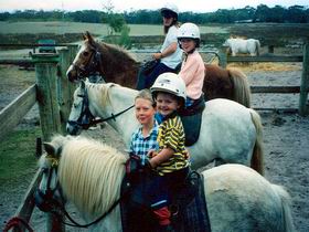 Limestone Coast Horseriding - Palm Beach Accommodation 1