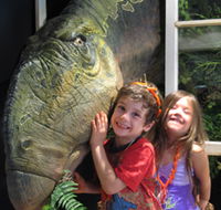 Australian Opal Centre - Palm Beach Accommodation