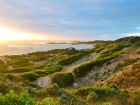 Beachport Conservation Park - Palm Beach Accommodation 0