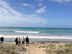Beachport Surf Beach - Palm Beach Accommodation 2