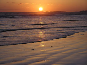Beachport Surf Beach - Palm Beach Accommodation 1