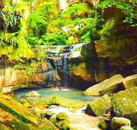 Carnarvon Gorge Carnarvon National Park - Palm Beach Accommodation