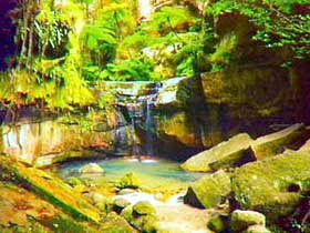 Carnarvon Gorge, Carnarvon National Park - Palm Beach Accommodation 0