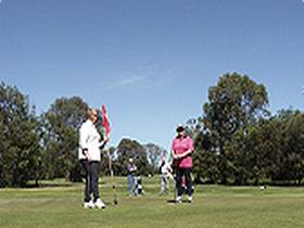 Hatherleigh SA Palm Beach Accommodation