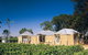 Yalumba Coonawarra Estate 