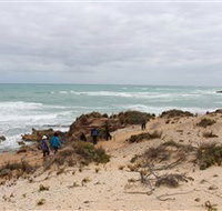 The Seaview Walking Trail - Palm Beach Accommodation