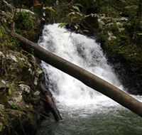 Souita Falls - Palm Beach Accommodation