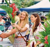 Flinders Street Shopping - Palm Beach Accommodation