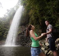 Millaa Millaa Falls - Palm Beach Accommodation