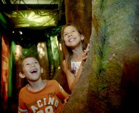 Museum Of Tropical Queensland - Palm Beach Accommodation 1