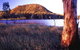 Nuga Nuga National Park And Lake Nuga Nuga - thumb 2