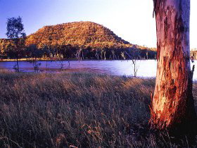 Nuga Nuga National Park And Lake Nuga Nuga - Palm Beach Accommodation 2