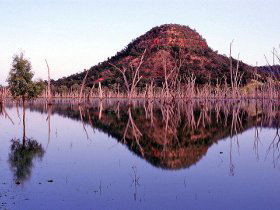 Nuga Nuga National Park And Lake Nuga Nuga - Palm Beach Accommodation 3