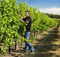 Patrick of Coonawarra - Palm Beach Accommodation