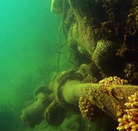 Wreck Diving at Magnetic Island - Palm Beach Accommodation