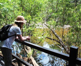 Mount Elliot, Bowling Green Bay National Park - Palm Beach Accommodation 1