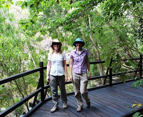 Mount Elliot, Bowling Green Bay National Park - Palm Beach Accommodation 2