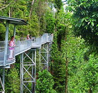 Mamu Tropical Skywalk - Palm Beach Accommodation