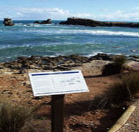 Cape Buffon Walking Trail - Palm Beach Accommodation