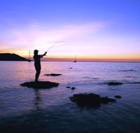 Fishing at Magnetic Island - Palm Beach Accommodation