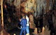 Tantanoola Caves Conservation Park - thumb 0