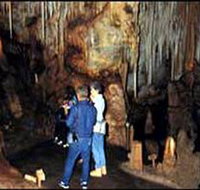 Tantanoola Caves Conservation Park - Palm Beach Accommodation