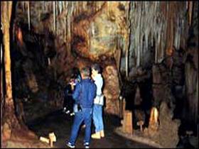 Tantanoola Caves Conservation Park - Palm Beach Accommodation 0