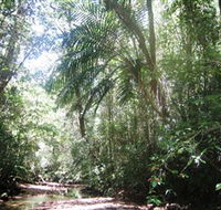 Mount Lewis National Park - Palm Beach Accommodation