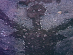 Quinkan Reserves Ancient Rock Art - Palm Beach Accommodation 0