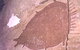 Quinkan Reserves Ancient Rock Art - thumb 1