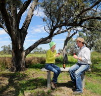 Restdown Wines and Walking Trail - Palm Beach Accommodation