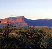 Blackdown Tableland National Park - Palm Beach Accommodation