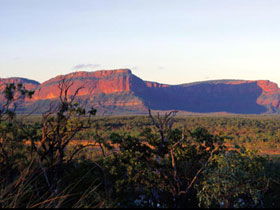 Blackdown Tableland National Park - Palm Beach Accommodation 0