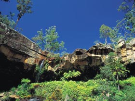 Blackdown Tableland National Park - Palm Beach Accommodation 1