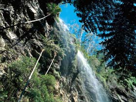 Blackdown Tableland National Park - Palm Beach Accommodation 2