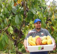 Sweet Farm Tours - Palm Beach Accommodation