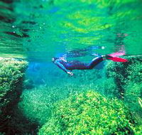 Piccaninnie Ponds Conservation Park - Palm Beach Accommodation
