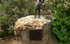 Dingo Statue - thumb 0