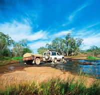 Rinyirru Lakefield National Park CYPAL - Palm Beach Accommodation