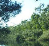 Crawford River Regional Park - Palm Beach Accommodation