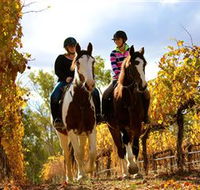 Billabong Ranch - Palm Beach Accommodation