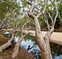 Oyala Thumotang National Park CYPAL - Palm Beach Accommodation