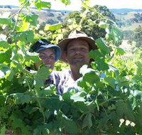 Wimmera Hills Winery - Palm Beach Accommodation