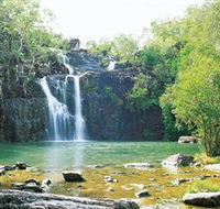 Cedar Creek Falls - Palm Beach Accommodation
