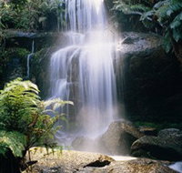 Mount Buangor State Park - Palm Beach Accommodation