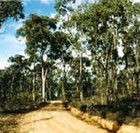 Paddys Ranges State Park - Palm Beach Accommodation