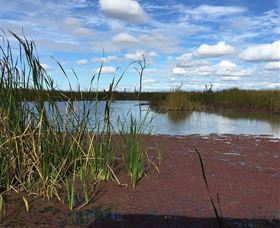 Gwydir Wetlands - Palm Beach Accommodation 0